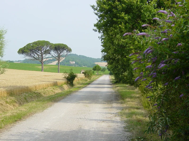 Vélo de route Voie verte "chemin des droits de l'homme" — Puygouzon