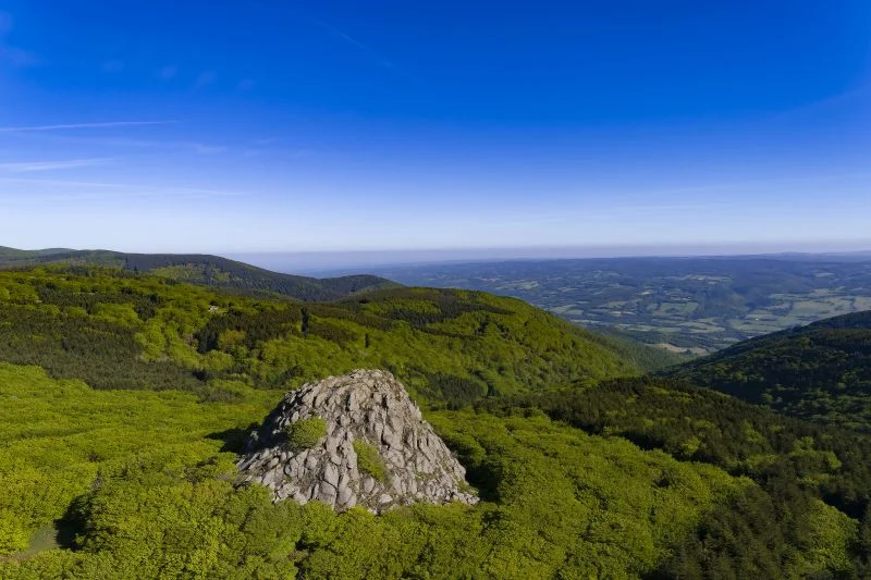 Trail Les balcons de la vallée du Thoré - Labastide-Rouairoux - Castans (Trail - étape 3) — Labastide-Rouairoux