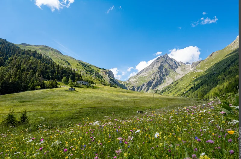 Randonnée Vallon de l'Orgère : rando facile en famille ! — La Norma