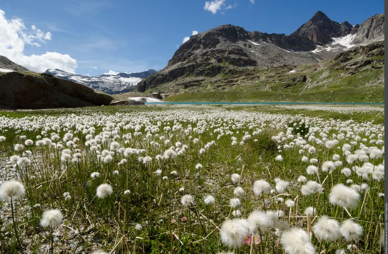 Randonnée Randonnée vers le refuge du Carro : dans l'intimité des cirques glaciaires — Bonneval-sur-Arc