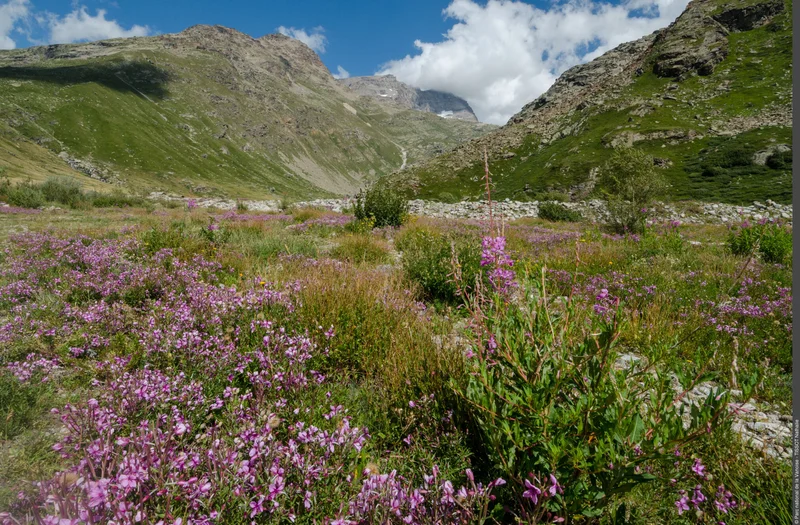 Randonnée Promenade bucolique vers La Duis, le long de l'Arc — Bonneval-sur-Arc