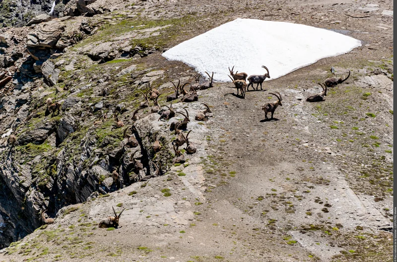 Randonnée Col de la Lose : le paradis sauvage — Val-d'Isère