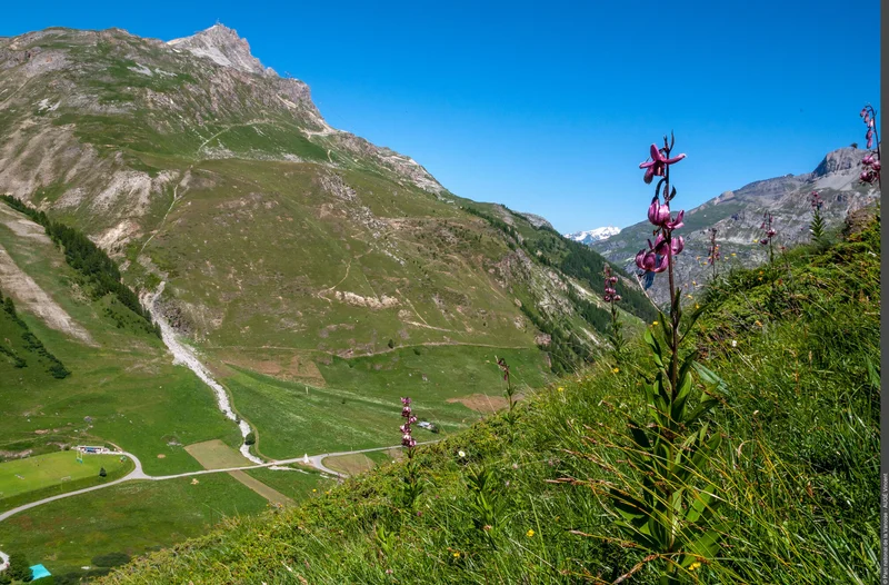 Randonnée Le col des Fours depuis le Manchet : un itinéraire alpin et sauvage — Val-d'Isère