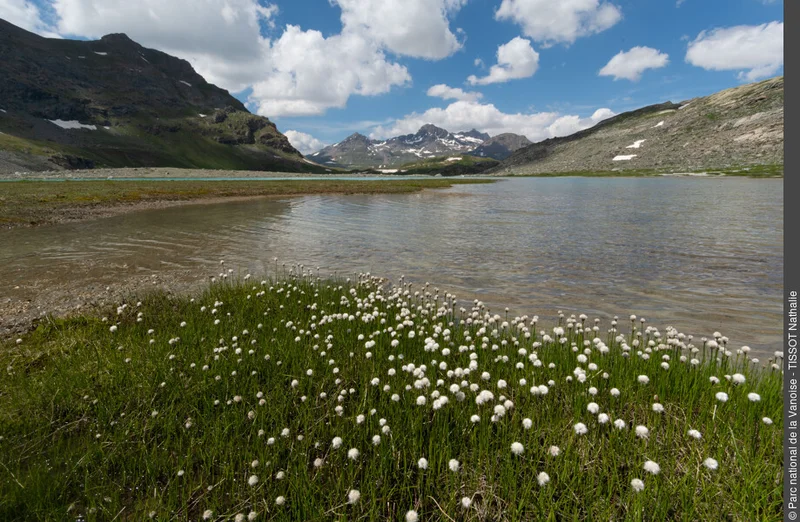 Randonnée Le cirque des Evettes : randonnée au pied des grands sommets et glaciers de Maurienne — Bonneval-sur-Arc