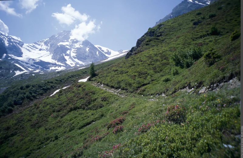 Randonnée Du refuge de La Martin au refuge de Turia — Villaroger