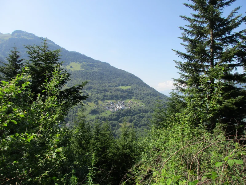 Randonnée La Grande Forêt (B22) — La Léchère