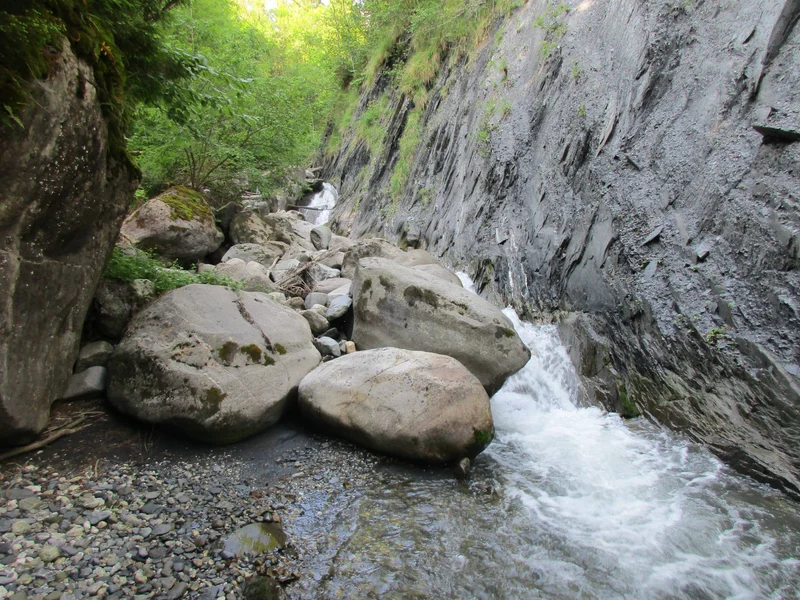 Randonnée Boucle de La Douceraine : à la découverte des alpages et forêts du Morel — La Léchère