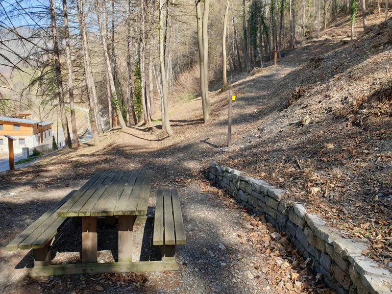 Randonnée Arboretum des Nantieux : sentier découverte dans la forêt communale de Saint-Marcel — Pomblière