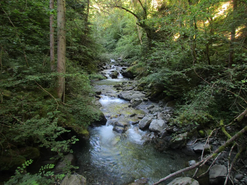 Randonnée Les passerelles de l'Eau Rousse (B20) — La Léchère