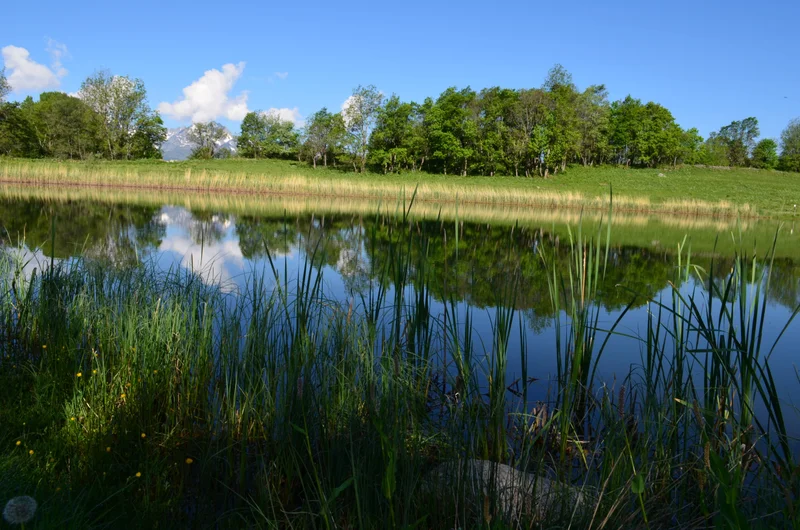 Randonnée Le lac du Loup : escapade nature en famille — Saint-François-Longchamp