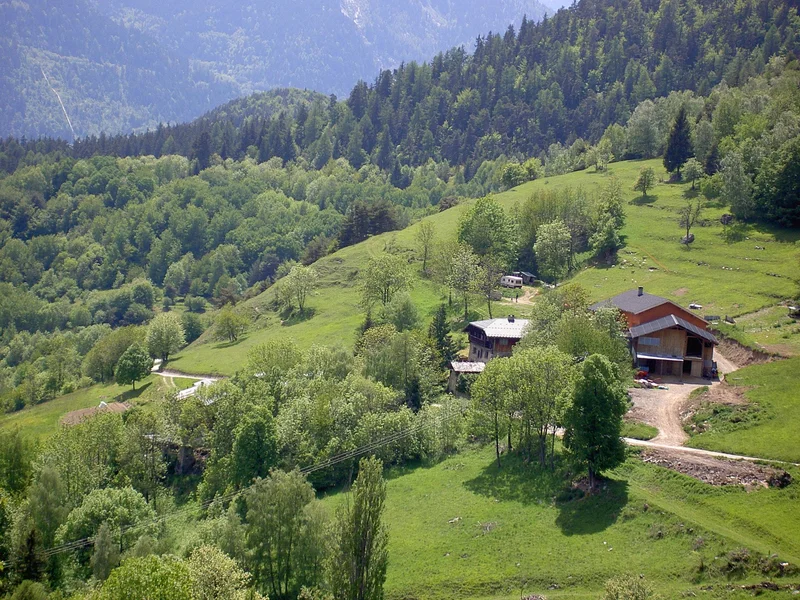VTT 26-Entre forêt et alpage de la Faverge — Hautecour
