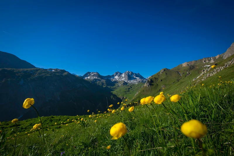 VTT 25-Explorez la vallée sauvage des Avals — Courchevel