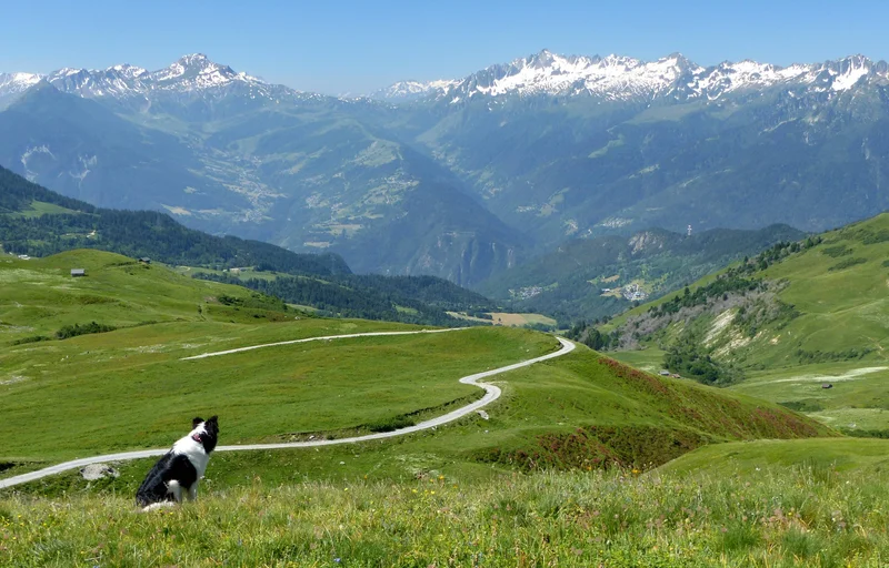 VTT Découverte à vélo des alpages de la vallée de Nâves — La Léchère