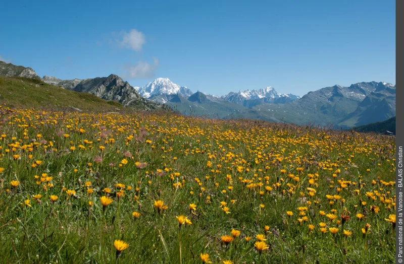 VTT Le tour de l’Aiguille Grive — Peisey-Nancroix