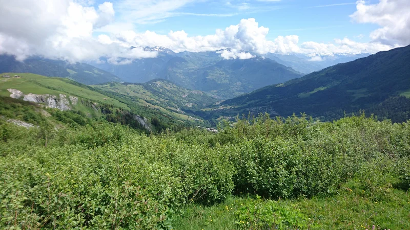 Trail Trail des Cascades du Morel (7 bleu) — Les Avanchers-Valmorel