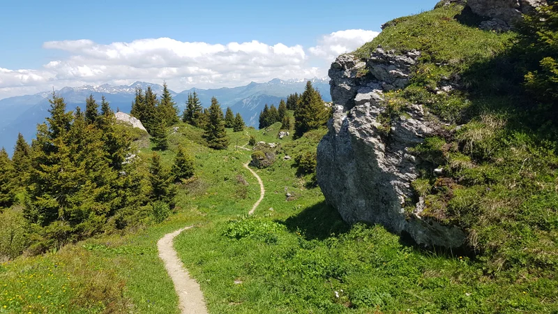 Trail Marathon de la Lauzière — Les Avanchers-Valmorel