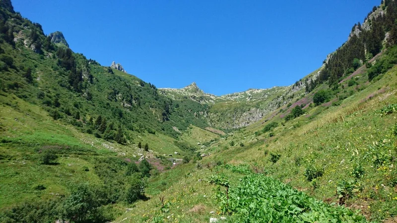 Trail Trail des Pissus (2 rouge) — La Léchère
