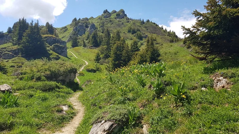 Trail K.-V. de Crève Tête — Les Avanchers-Valmorel