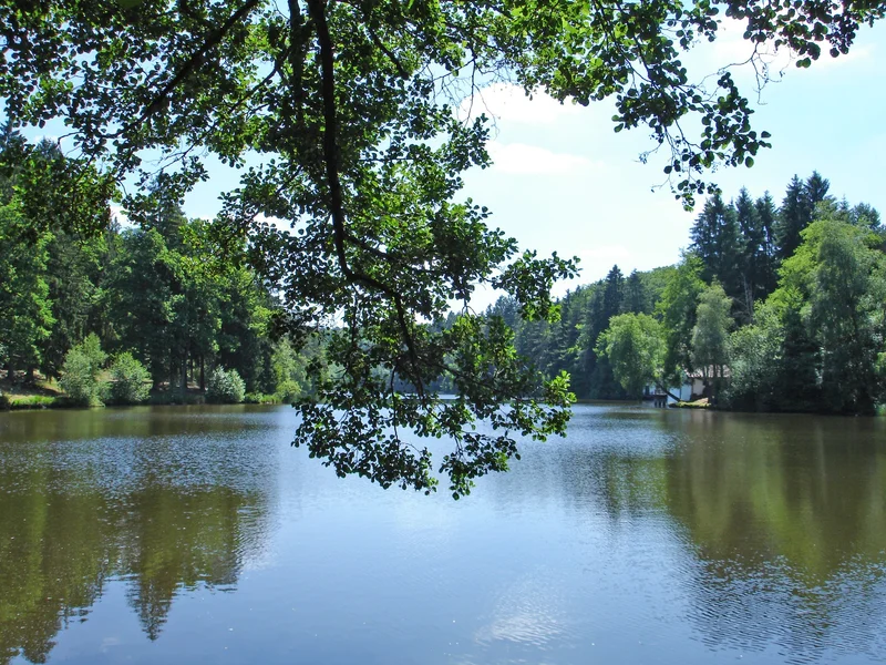 Randonnée Autour de l'étang de Hasselfurth — Bitche