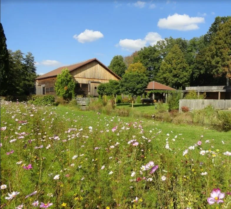 Randonnée Moulin d'Eschviller et chapelle Saint-Joseph — Eschviller