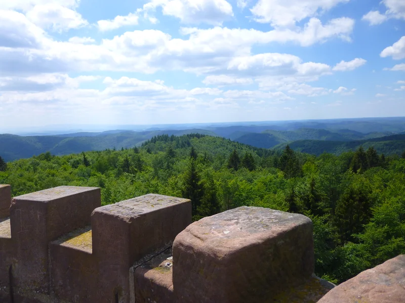 Randonnée Trésor des Vosges du Nord : Ascension du Grand Wintersberg — Niederbronn-les-Bains