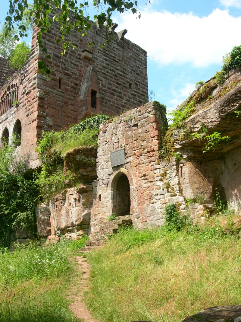 Randonnée Trésor des Vosges du Nord : Circuit de la Wasenbourg — Niederbronn-les-Bains
