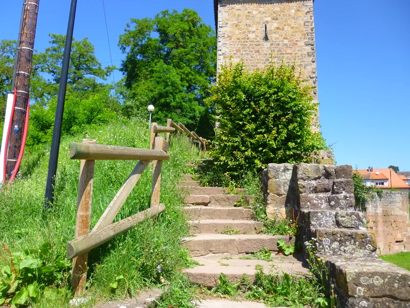 Randonnée Trésor des Vosges du Nord : Circuit viticole sans frontière — Wissembourg