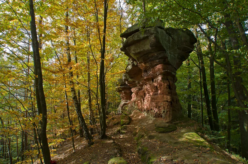 Randonnée De Châteaux en rochers autour d'Obersteinbach — Obersteinbach
