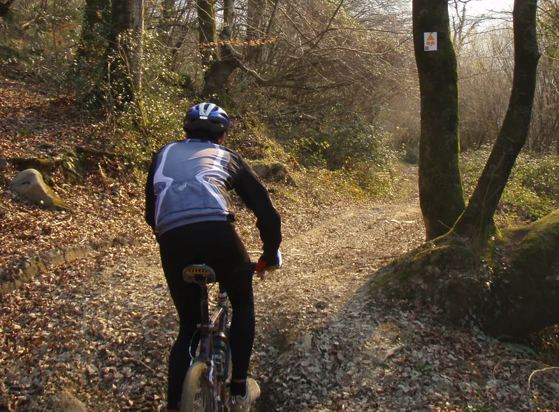 VTT De Dossenheim à Saverne — Dossenheim-sur-Zinsel