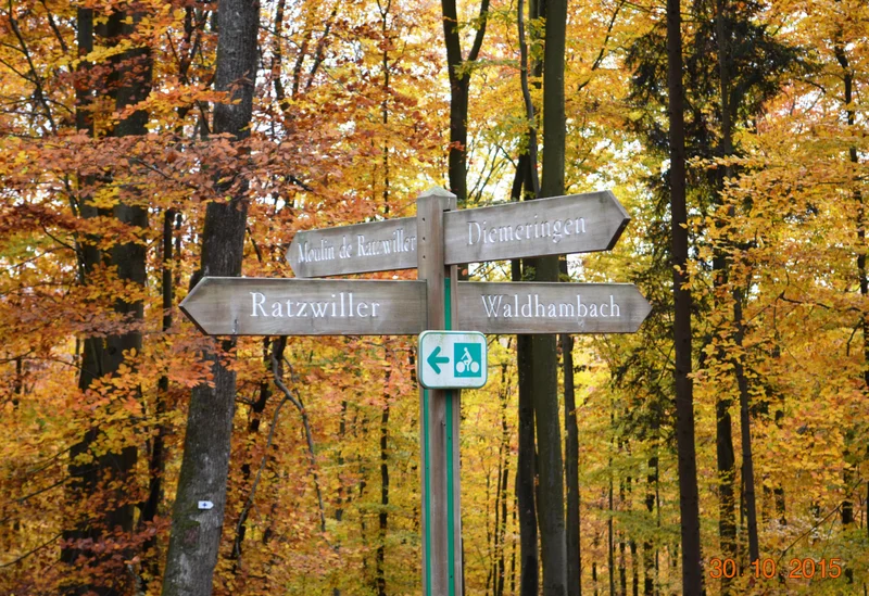 VTT Le Petit Grunewald — Waldhambach