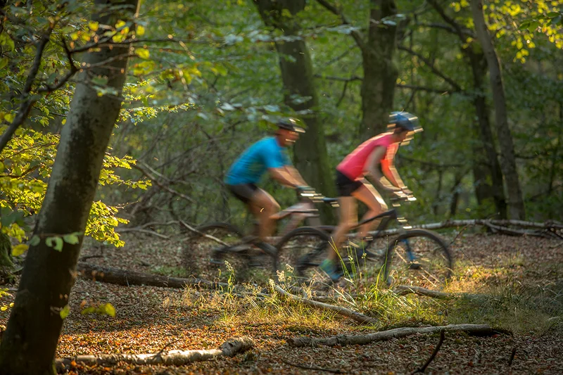 VTT Le Grand Grunewald — Waldhambach