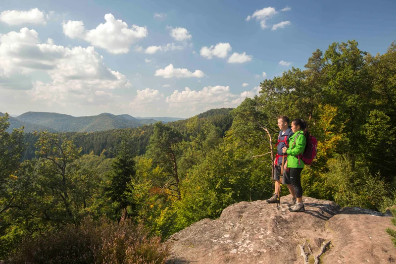 Randonnée GR®53 - la Traversée du Massif des Vosges — Wissembourg