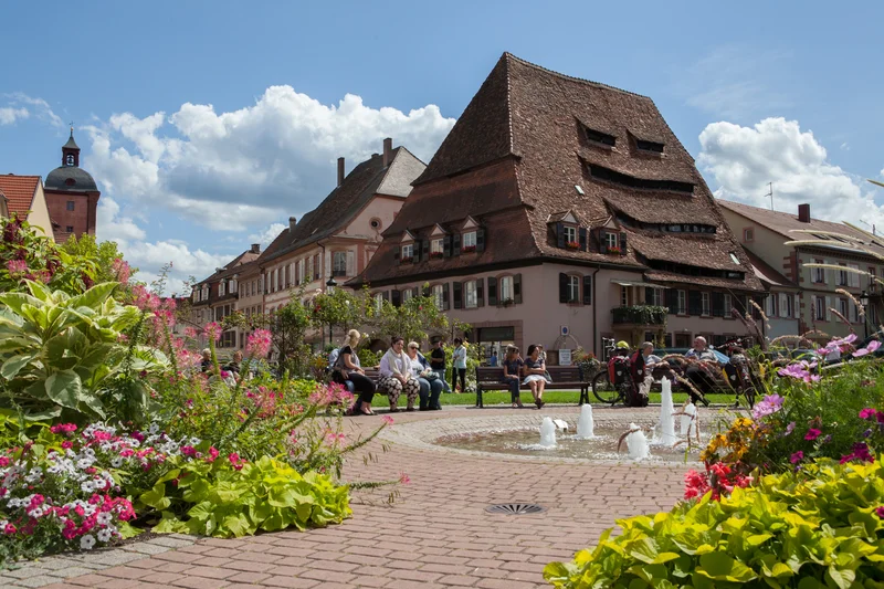 Randonnée GR®532 - variante à la Traversée du Massif des Vosges — Wissembourg