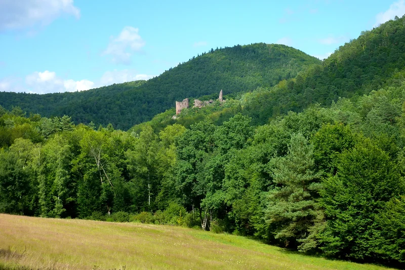 Vélo de route Tour de l'amitié — Obersteinbach