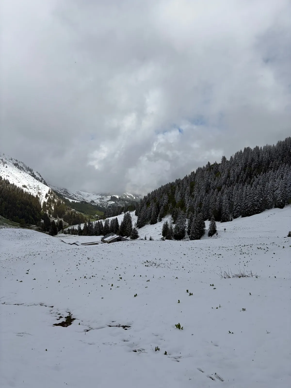 Randonnée Croix de Fer depuis le Col des Aravis — La Clusaz