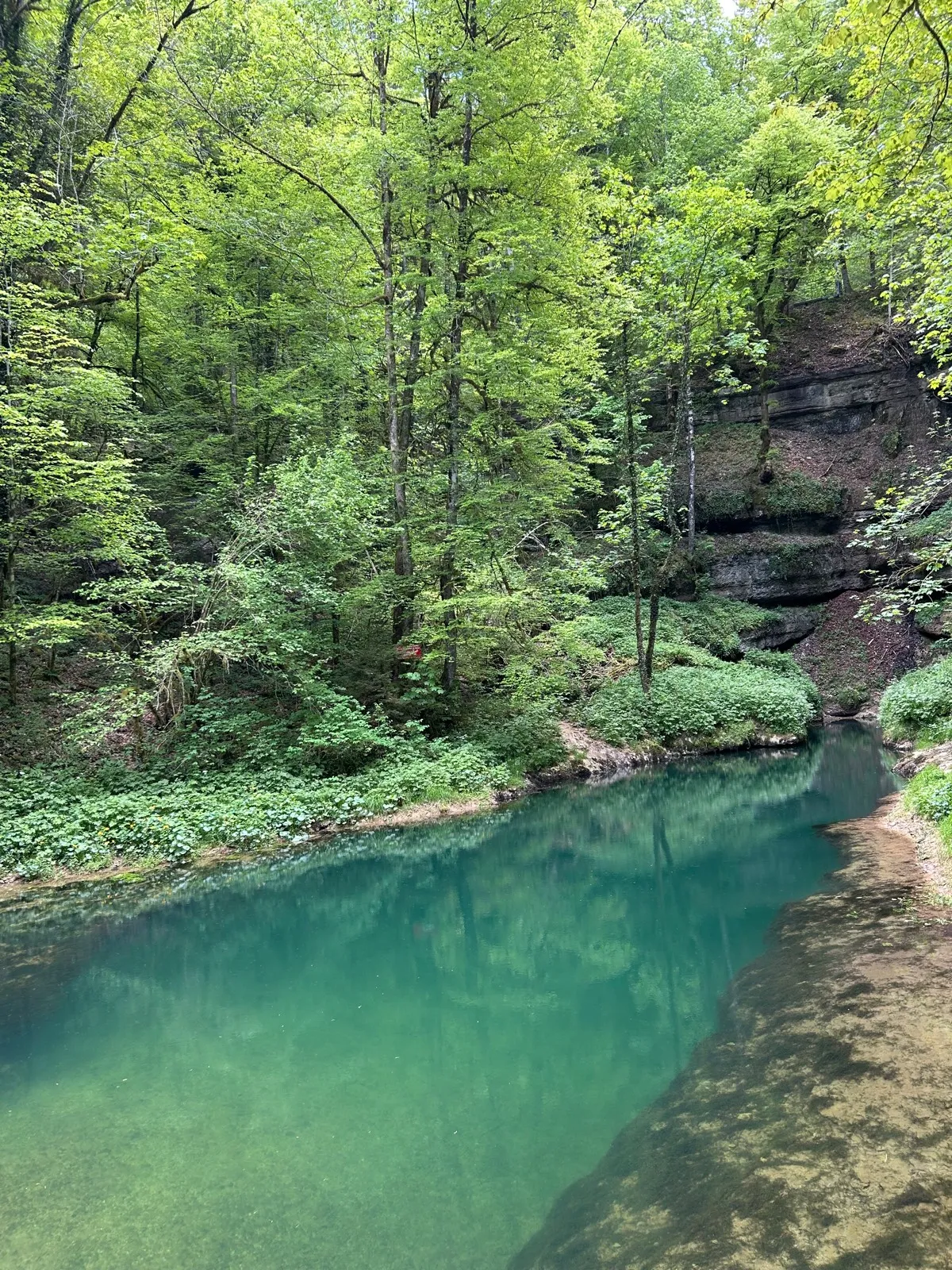 Randonnée Les sources de l’Ain — Conte