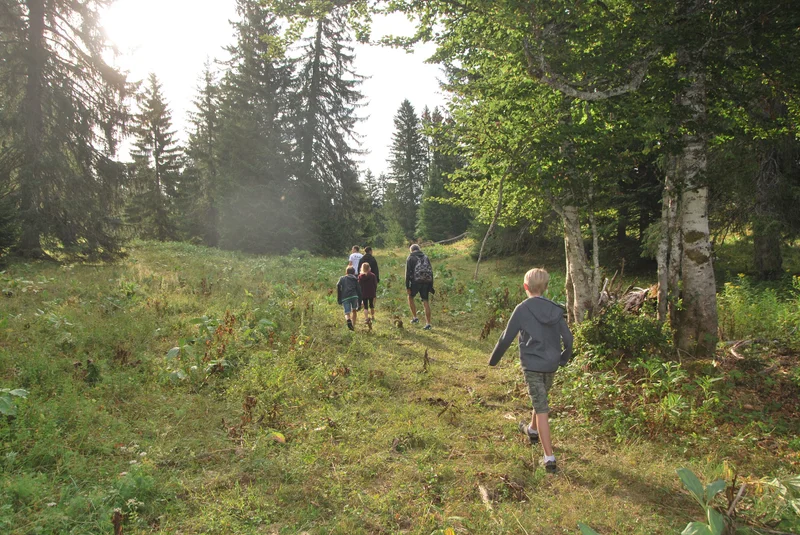 Rando autour de Prémanon · © Jura Tourisme