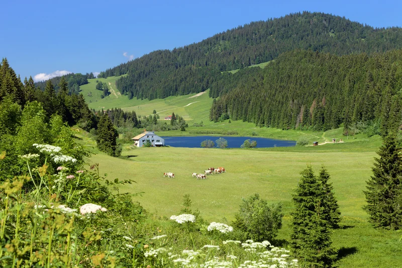 Lac de Lamoura · © www.stephane-godin.com/Jura Tourisme · Droits d'auteur