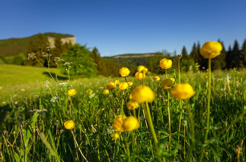 Le Mont Fier · © www.stephane-godin.com/Jura Tourisme · Droits d'auteur