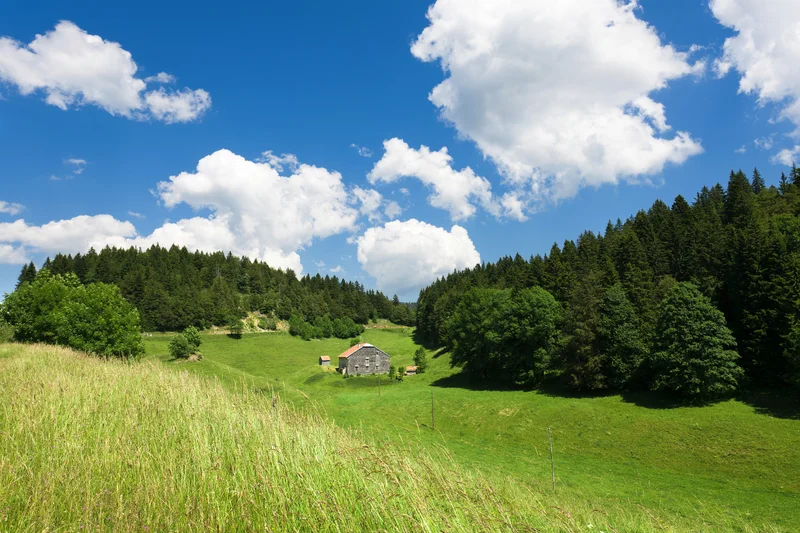 Combe de Lamoura · © www.stephane-godin.com/Jura Tourisme · Droits d'auteur