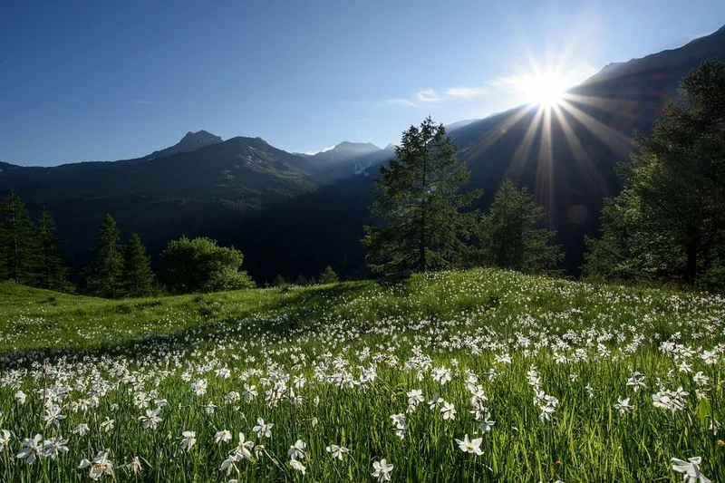 Sentier de l'Oussella · © Mireille Coulon © Parc national des Ecrins