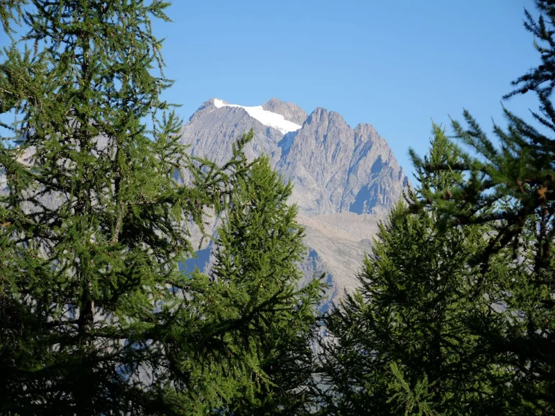 Vue sur le Pelvoux depuis la tête d'Oréac · © Marie-Geneviève Nicolas - Parc national des Ecrins