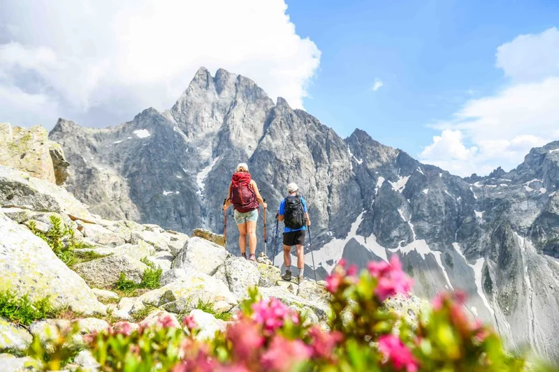Sous la face Nord-Ouest de l'Olan · © Caroline Bonnet - Parc national des Ecrins · Droits d'auteur