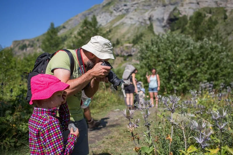Vallon du Fournel - Chardons bleus · © Emmanuel Rondeau © Parc national des Ecrins