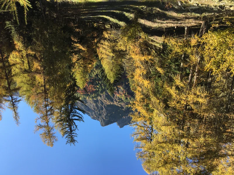 Sur le sentier du Roy · © M. Berger - CDRP