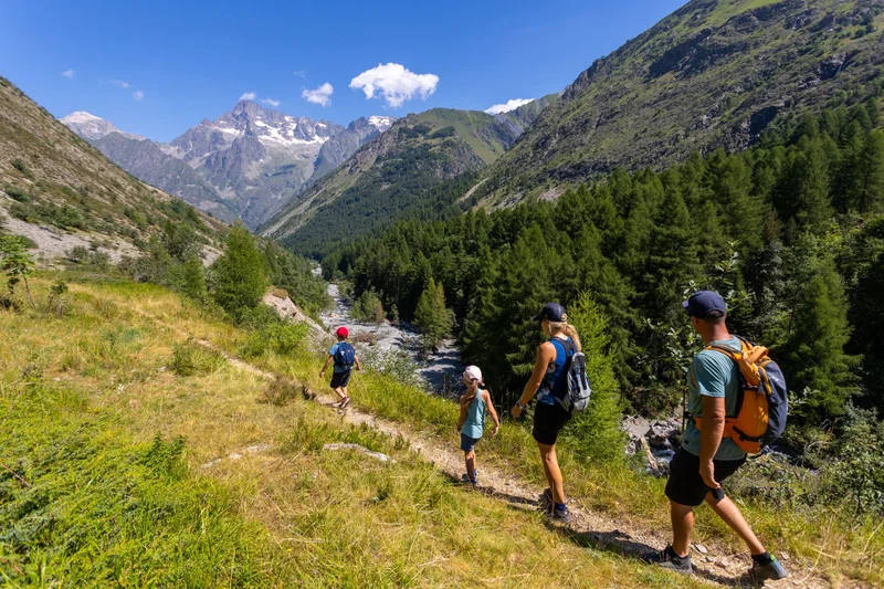 Vallon de Navette · © Kinaphoto - Parc national des Ecrins · Droits d'auteur