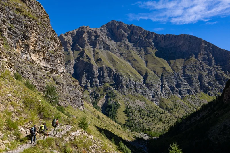 Vallon de Chargès · © Kinaphoto - Parc national des Ecrins · Droits d'auteur