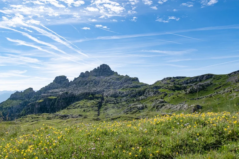 Les Aiguilles de Chabrières et l'Oucane · © Mireille Coulon - Parc national des Ecrins
