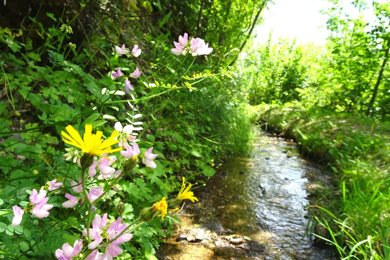 Le Canal du Béal Neuf · © Office de tourisme Pays des Écrins