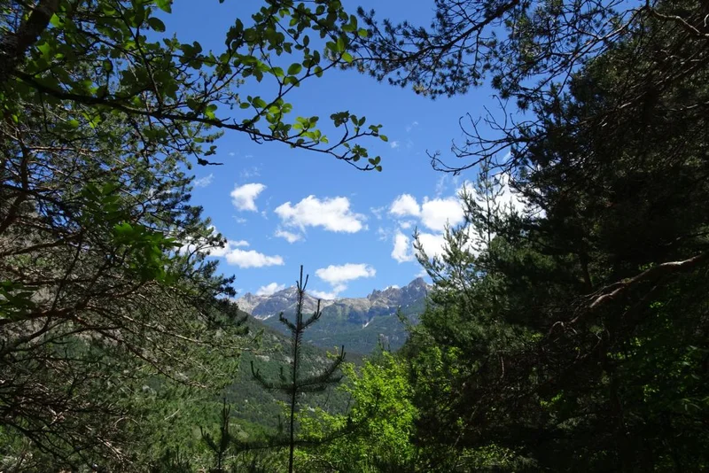 Sur le sentier du Cloutas · © Office de tourisme Pays des Écrins